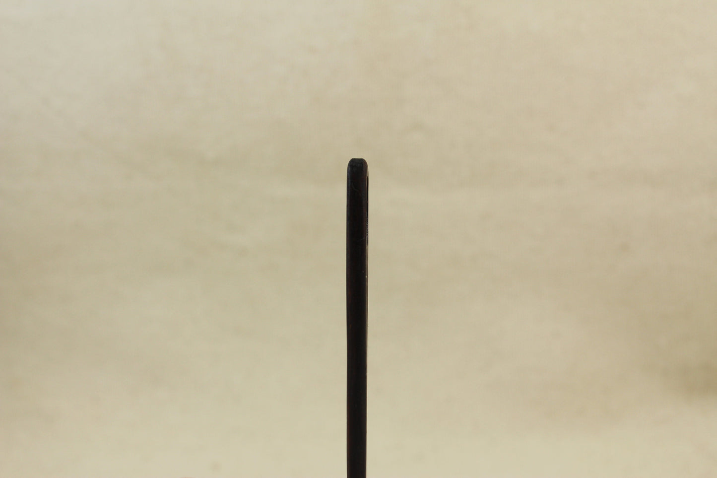 Cocobolo Nalbinding Needle